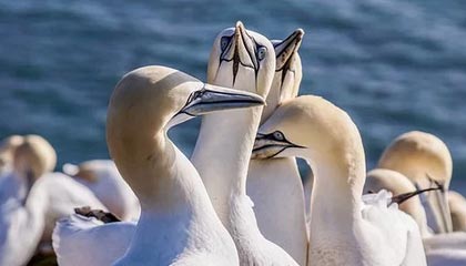 江山最新公积金卡提取方法分析(最方便真实的江山公积金卡提取后还可以继续使用吗方法)