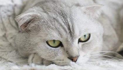 江山最新公积金卡提取现金方法app方法分析(最方便真实的江山公积金卡怎样从手机里取出来?方法)