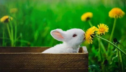 江山最新公积金卡提取现金方法app方法分析(最方便真实的江山公积金卡怎样从手机里取出来?方法)